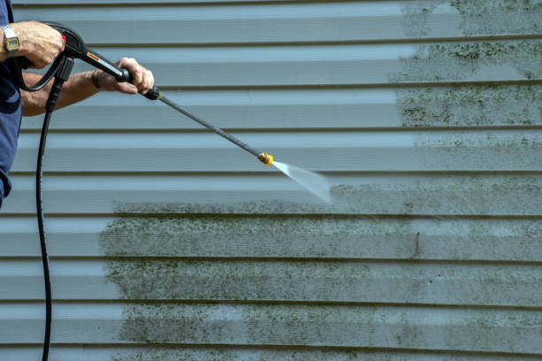 Best Best Pressure Washing Companies  in Maury, NC